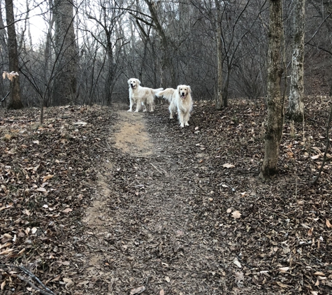 Mountain Run Kennel - Culpeper, VA