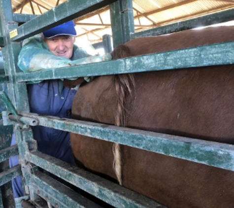 Ararat Veterinary Clinic - Ararat, VIC
