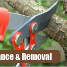 Rich Ley & Company Tree Service