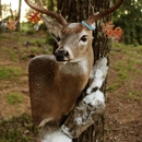 Josh Helton Taxidermy - Taxidermists