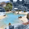 New Vision Pools gallery