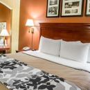 Comfort Inn & Suites Ashland-Richmond North - Motels