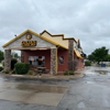 Golden Chick gallery