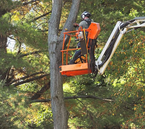 Trustfall Tree Service - De Pere, WI