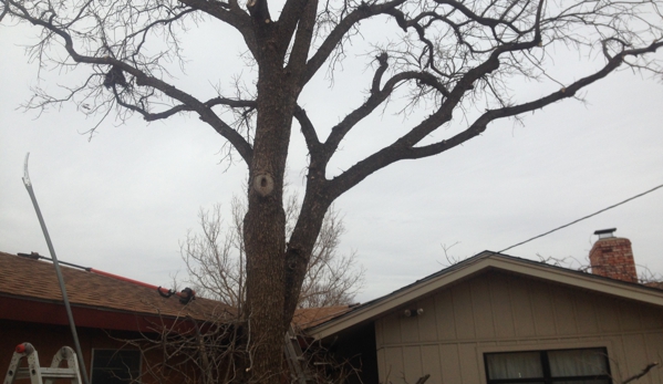 Tomcat's Tree Trimming - Wolfforth, TX