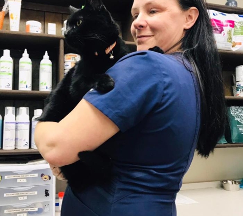 Bellshire Family Vet - Nashville, TN