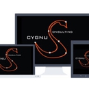 Cygnus Consulting - Computer Software & Services