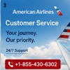 American Airlines gallery