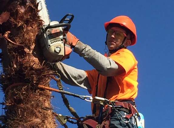 B & M Gardening & Tree Services - Bakersfield, CA