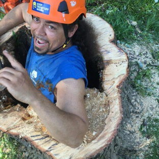 Out on'a limb tree care - Memphis, TN. Its wabbit season