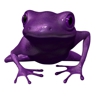 Violet Frog Environmental gallery