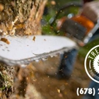 Tree Time Tree Services