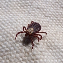 All Star Pest Control - Pest Control Equipment & Supplies