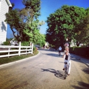 Bicycle Inn - Bicycle Rental