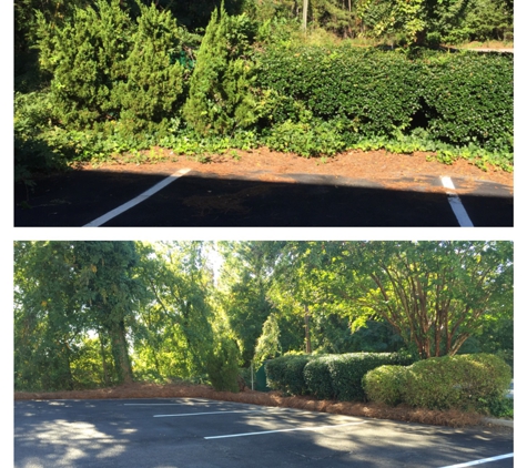 3in1 Landscape Management - Blythewood, SC