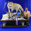 Lastella Taxidermy gallery