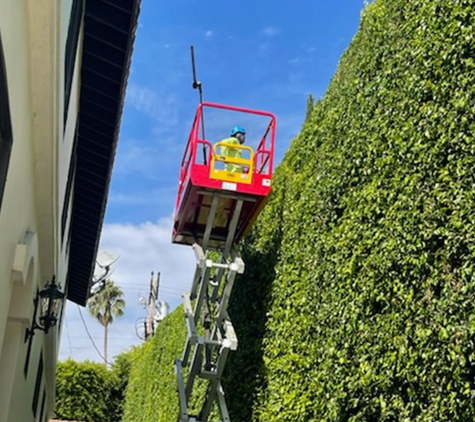 Quality Tree Service Inc - South El Monte, CA