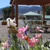 Flying U RV Park gallery