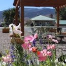 Flying U RV Park - Parks
