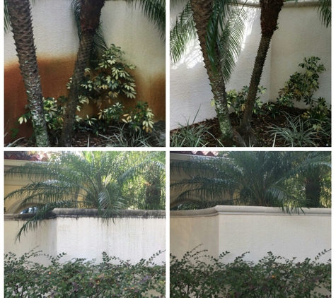 New Beginning Exterior Cleaning, Inc. - Sanford, FL