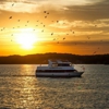 Celebration Cruise gallery