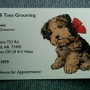 Bows & Toes Grooming - Pet Grooming