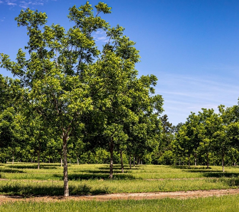 Millican Pecan Company - San Saba, Texas - San Saba, TX