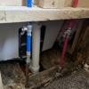 Mold Hunters Mold Remediation gallery