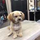 Waggin' Tails - Pet Grooming