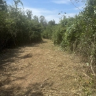 Circle B3 Mulching