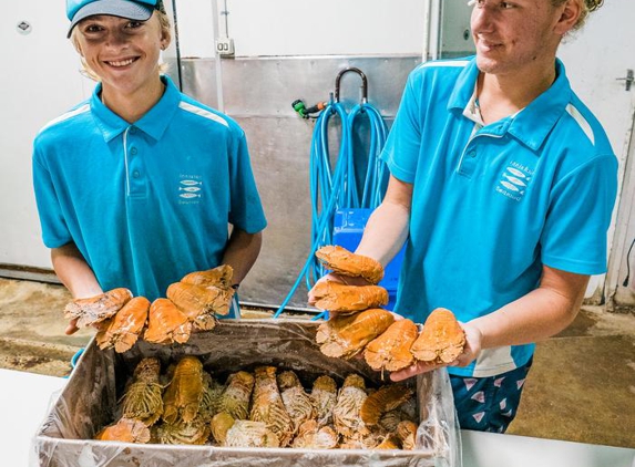 Innisfail Seafood - Innisfail, QLD
