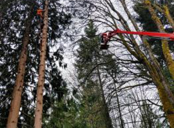 Bushman Tree Service