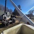 MacKenzie Tree - Tree Service
