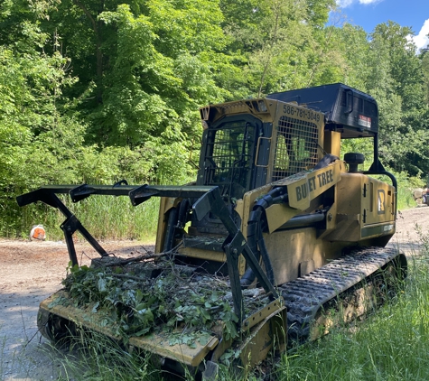 Budget Tree Service - Shelby Township, MI