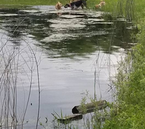 Camp K-9 Dog Boarding - Forest Lake, MN