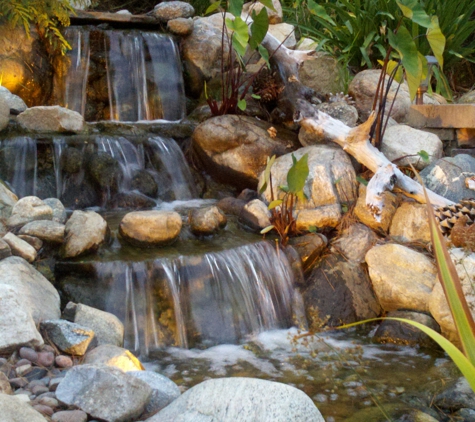 The Pond Pros of Southern California