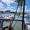 OCA Watersports | Jet Ski & Pontoon Boat Rentals gallery