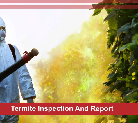 Quack Pest Control Pty Ltd - Winnellie, NT. Termite Inspection And Report