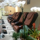 Nail Spa - Nail Salons