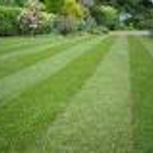 A Cut Above Affordable Lawn Services