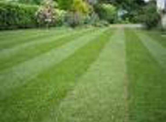 A Cut Above Affordable Lawn Services