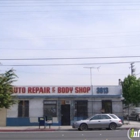 The Professional Body Shop