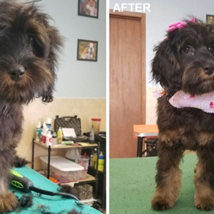 Raven's Pampered Pets Salon - Muscatine, IA