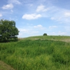 Buffalo Rock State Park gallery