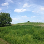 Buffalo Rock State Park