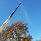 Coughlin Tree Service