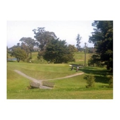 Gallery Image Number 1