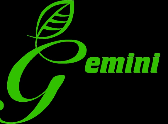 Gemini Cleaning Team - Roseville, CA