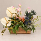 The Flower Shop of Iowa