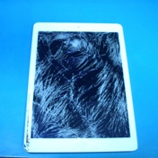 Gallery Image Number 6